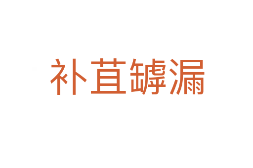 補(bǔ)苴罅漏