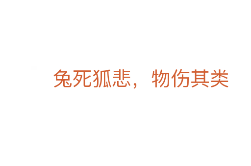 兔 狐悲,物傷其類