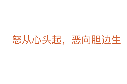 怒從心頭起,惡向膽邊生