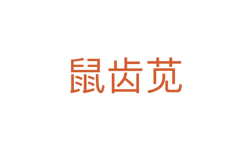 鼠齒莧