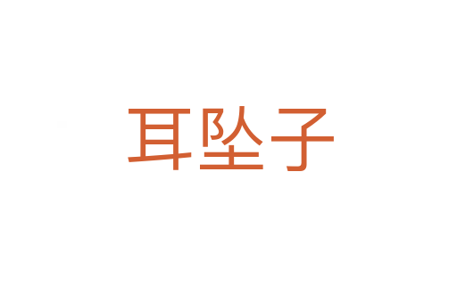 耳墜子