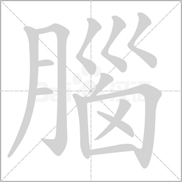 腦的筆順動(dòng)畫(huà)演示