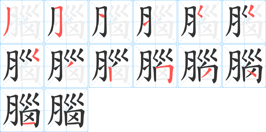 腦的筆順?lè)植窖菔?>
					
                    <hr />
                    <h2>腦的基本信息</h2>
                    <div   id=
