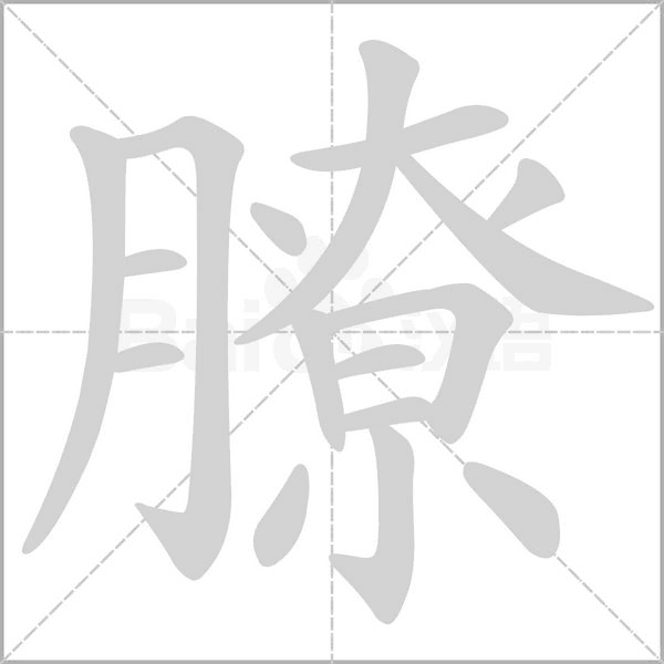 膫的筆順動(dòng)畫(huà)演示