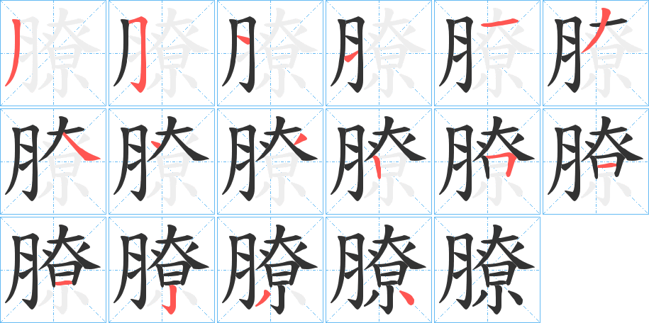 膫的筆順?lè)植窖菔?>
					
                    <hr />
                    <h2>膫的基本信息</h2>
                    <div   id=