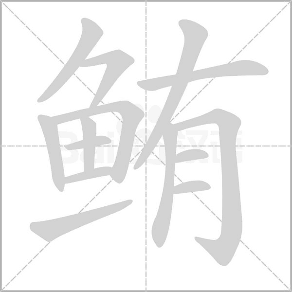 鮪的筆順動(dòng)畫演示