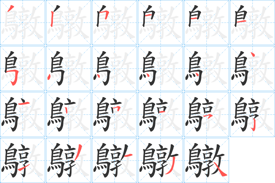 鷻的筆順分步演示